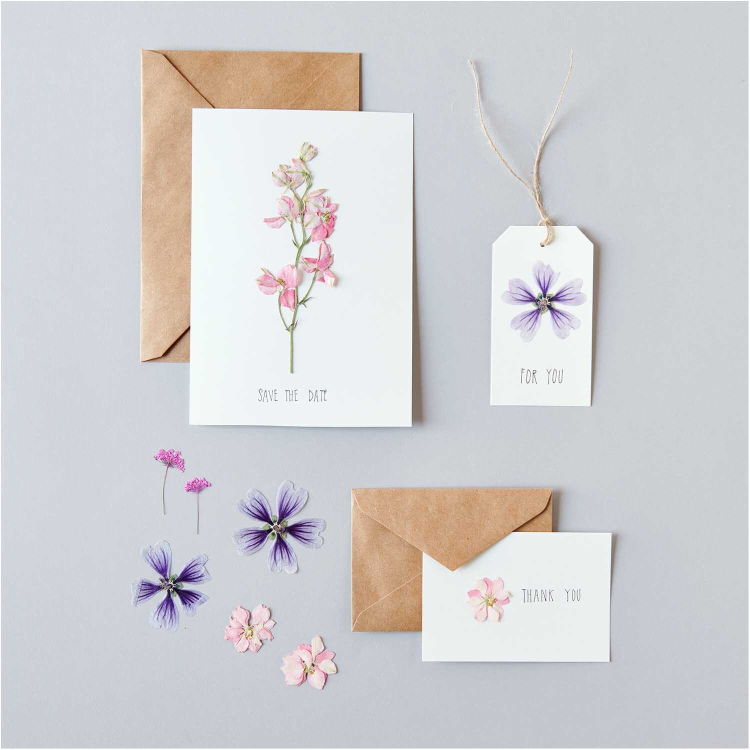 Gepresste Blüten Rittersporn rosa 8 Stück von Rico Design auf Karten und Anhängern arrangiert.