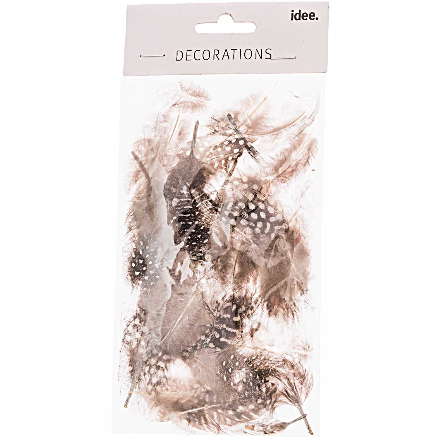 Perlhuhnfedern natur 2g von idee. Creativmarkt 