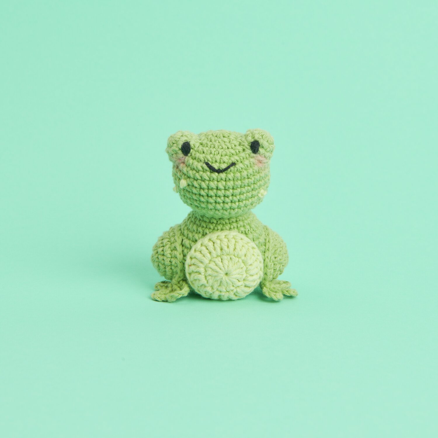 Ricorumi Mini Easy Häkelset - Frosch: Grüner gehäkelter Frosch auf mintgrünem Hintergrund. Ideal für Anfänger.
