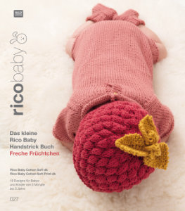 Titelbild der Rico Baby 27