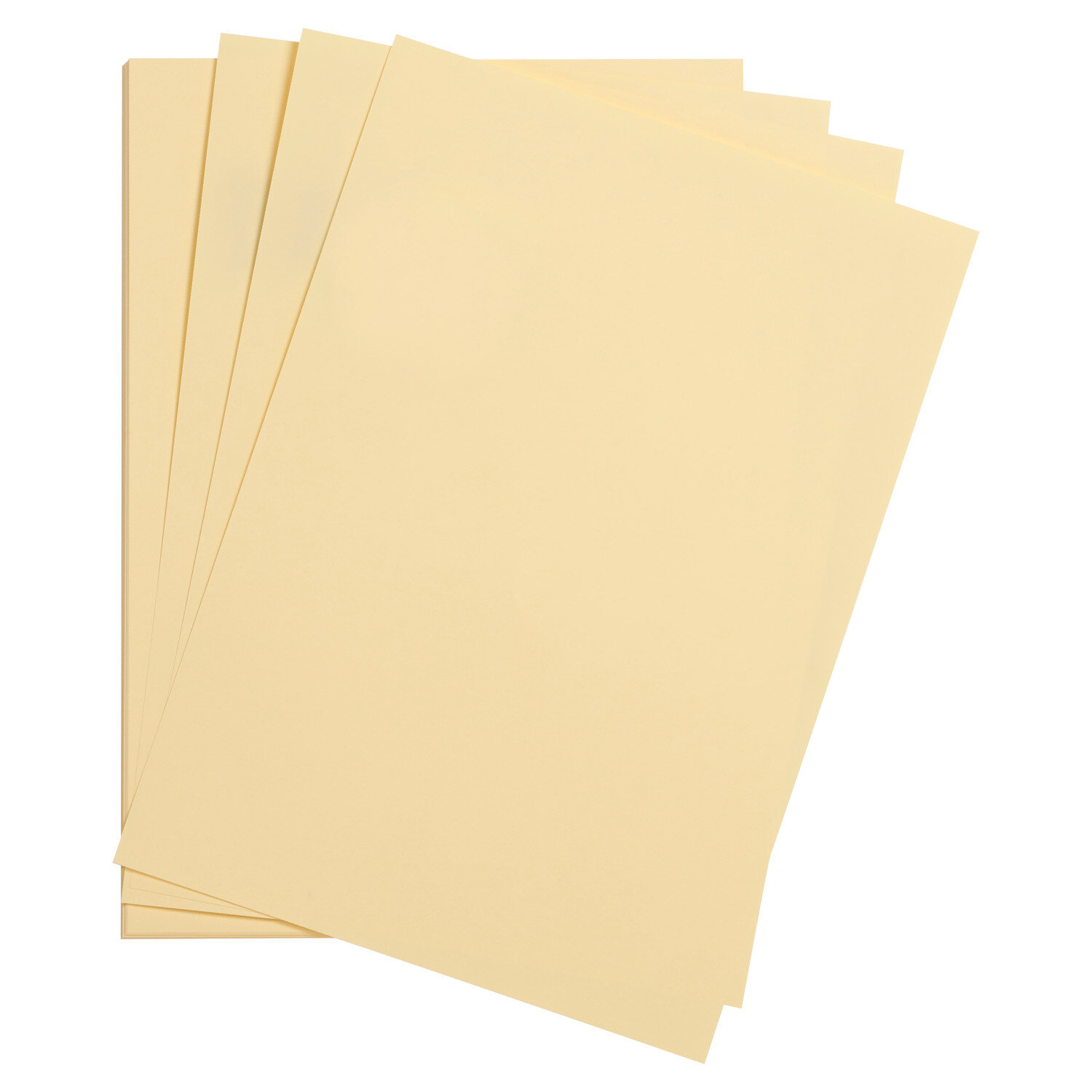 Chamois