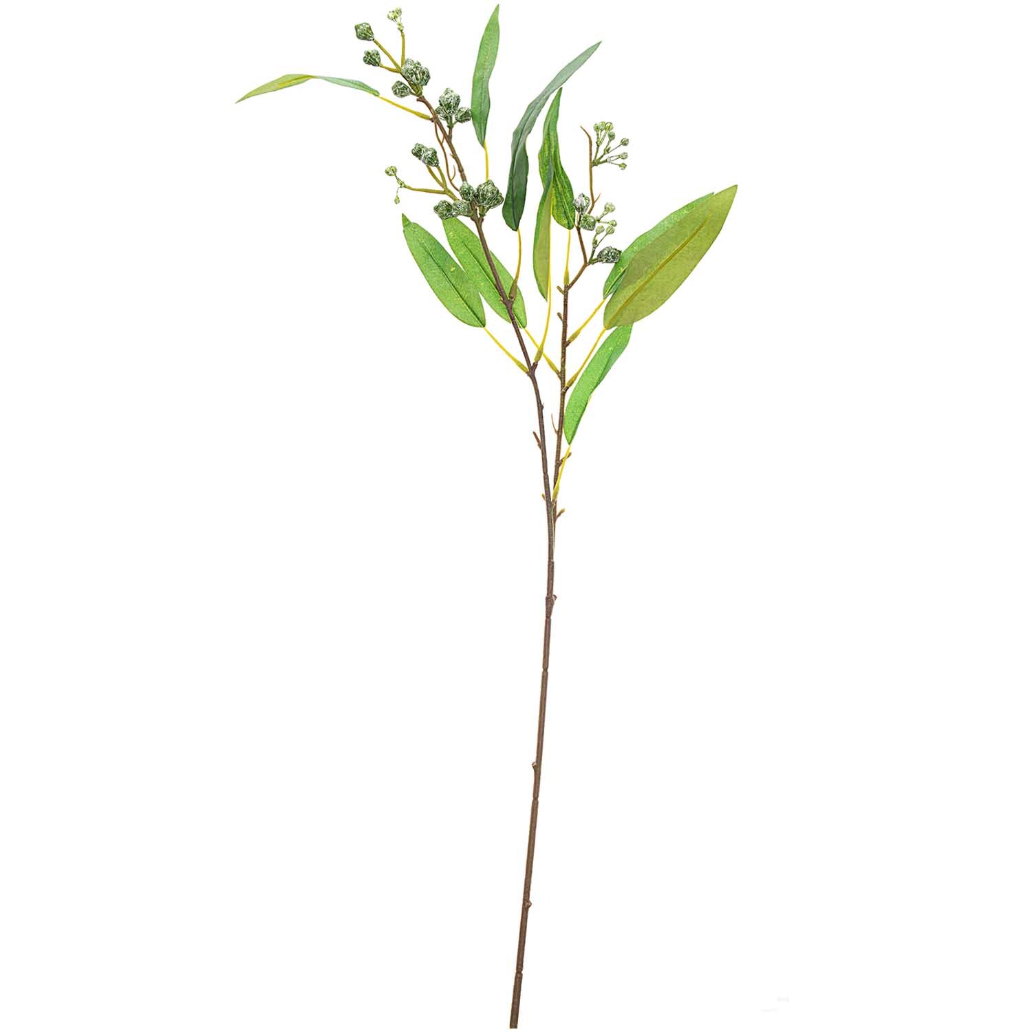 Eukalyptuszweig mit Knospen 68cm, dekorativer grüner Zweig von idee. Creativmarkt mit zarten Knospen.