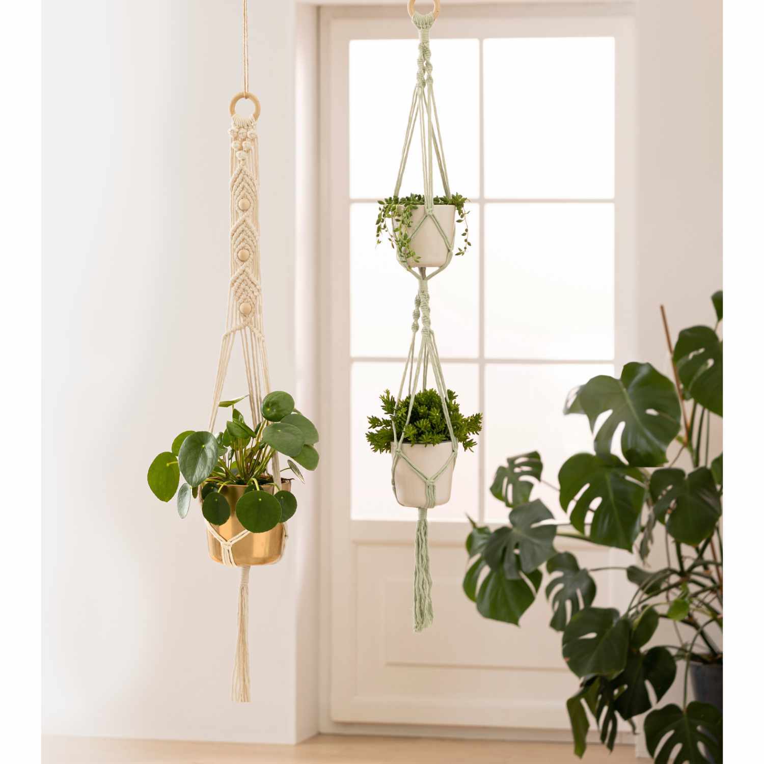 Makramee-Set Urban Jungle: Hängende Pflanzenhalter aus Seil, ideal für Innenräume, 7-teilig.