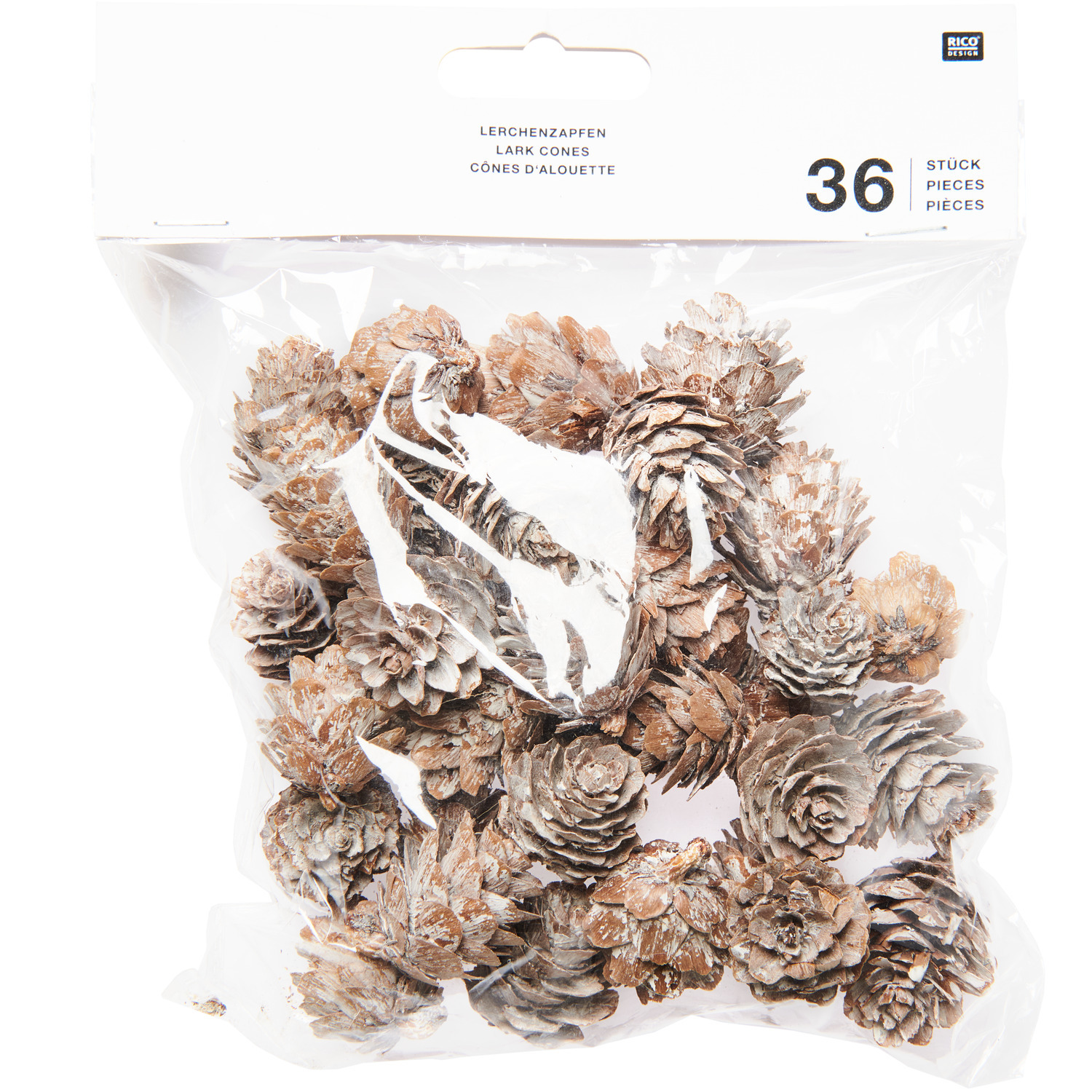 Lärchenzapfen von Rico Design, 36 Stück in einer transparenten Verpackung, ideal für Dekorationen.