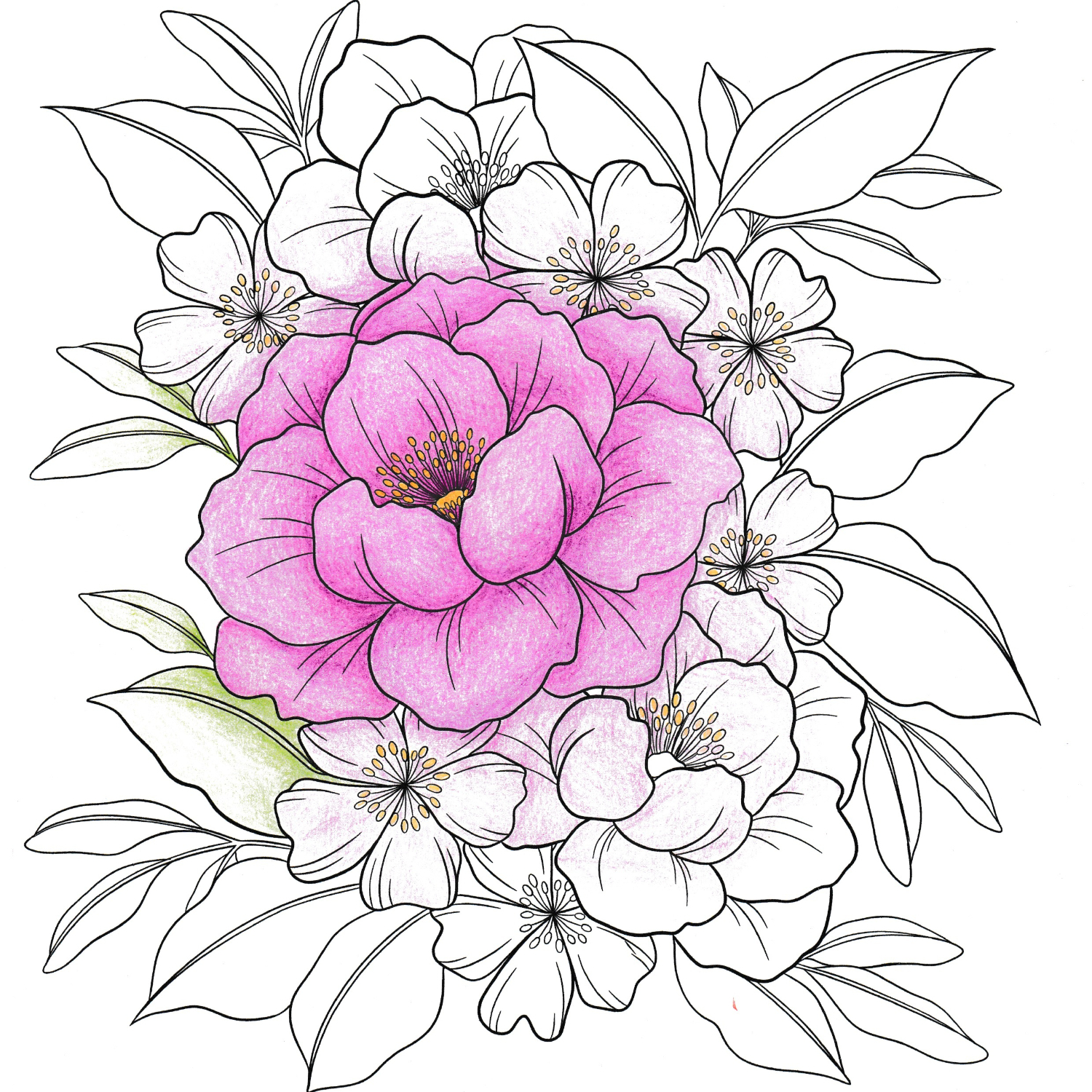 Colorful World – Traumhaftes Blütenglück: Rosa Blüte umgeben von weißen Blüten und grünen Blättern.