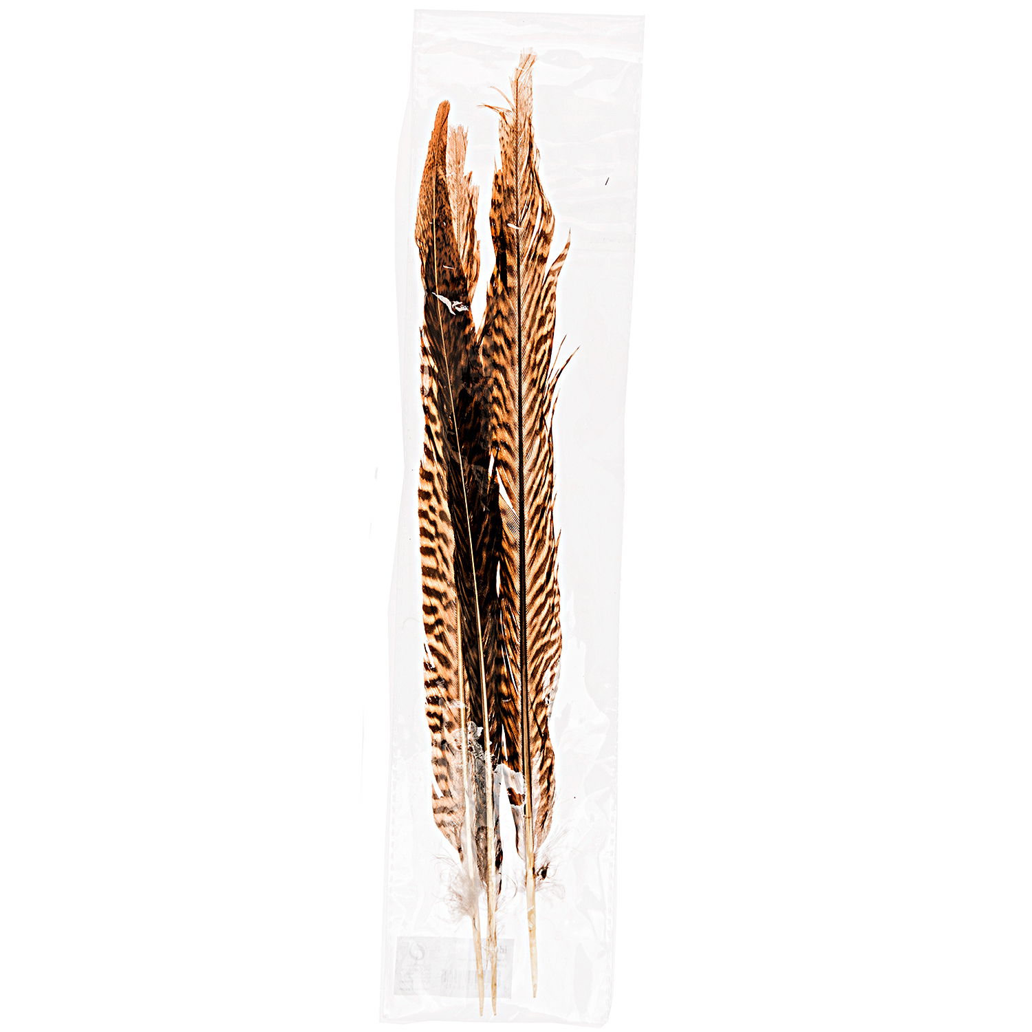 Fasanenfedern natur 30cm von idee. Creativmarkt 