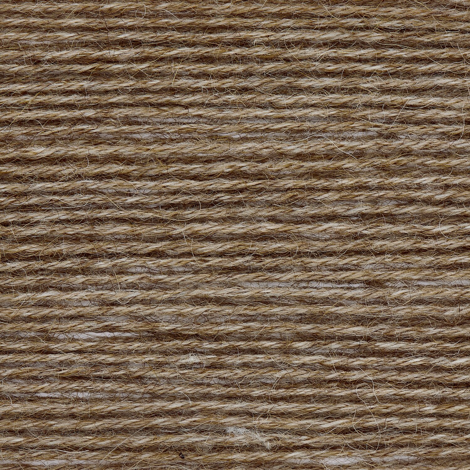 Wickelkarte des Garns Socks Alpaca Luxury 4-fädig in der Farbe 002 Beige.