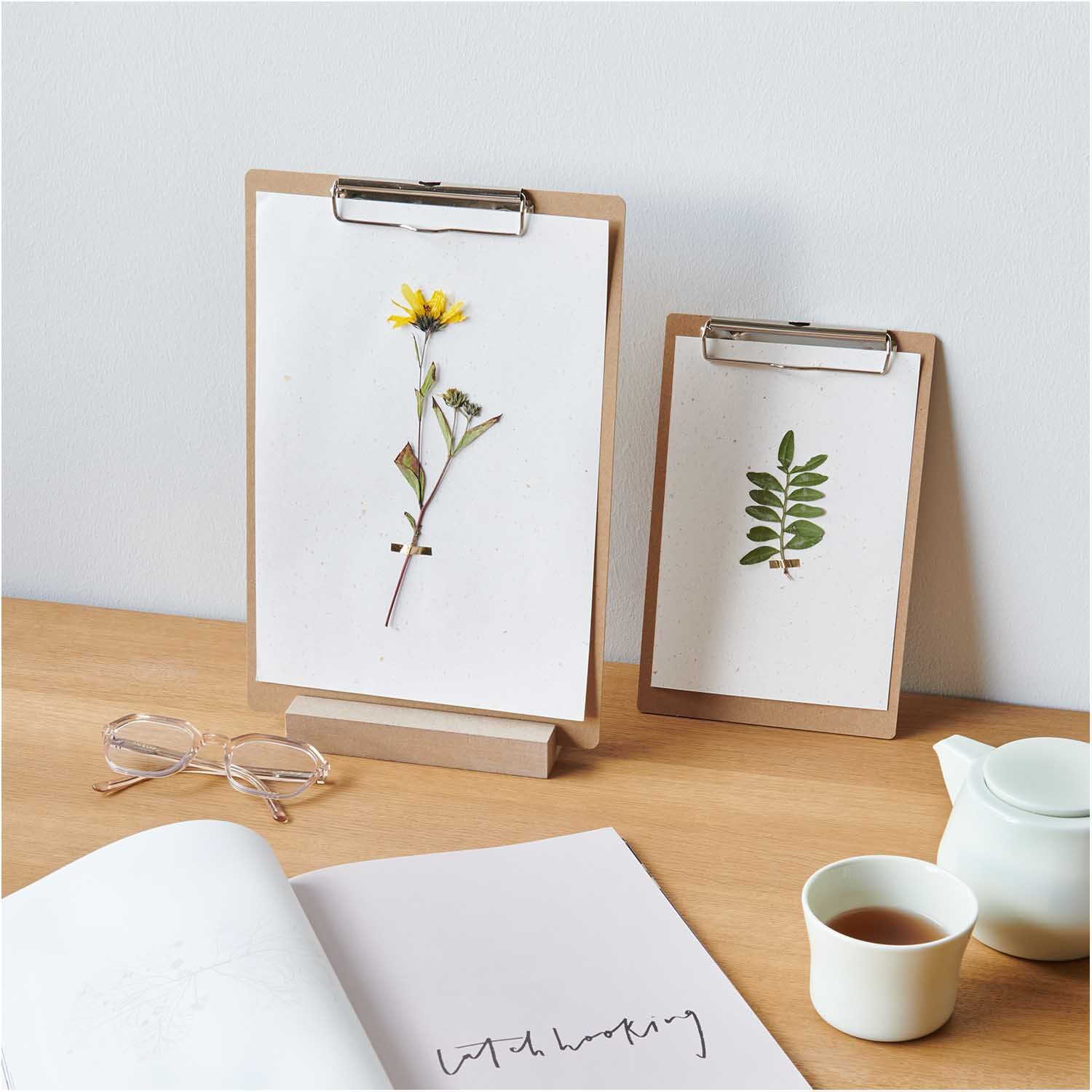 Gepresste Pflanzen Nelkengewächs 8 Stück von Rico Design auf Holzständern präsentiert, umgeben von einer Brille, einem Notizbuch und einer Teetasse.