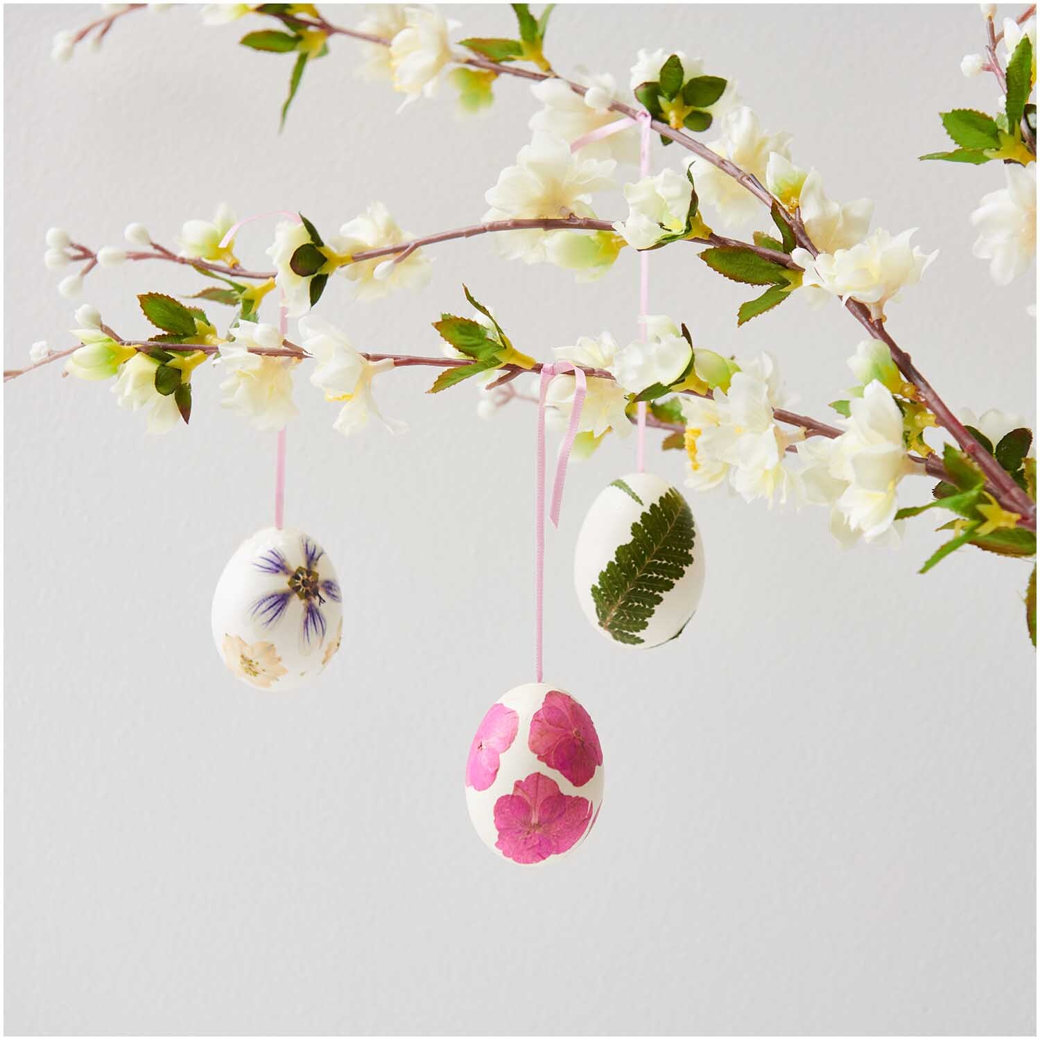 Gepresste Blüten Stockrose violett 8 Stück von Rico Design, dekorativ an Zweigen mit Blüten und verzierten Ostereiern aufgehängt.