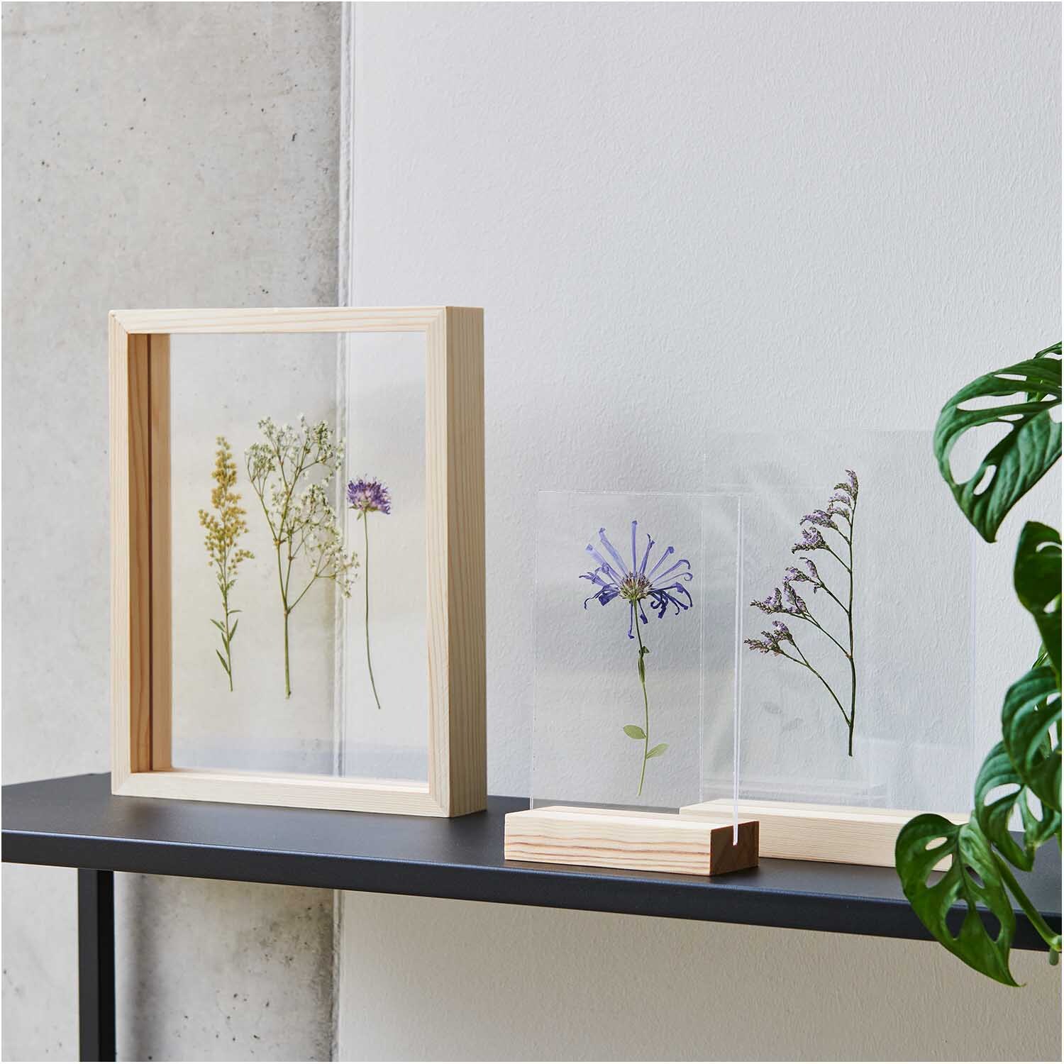 Holzaufsteller mit doppelter Acrylscheibe zeigt gepresste Blumen, ideal für stilvolle Dekoration. Marke: Rico Design. Farben: Weiß, Natur.