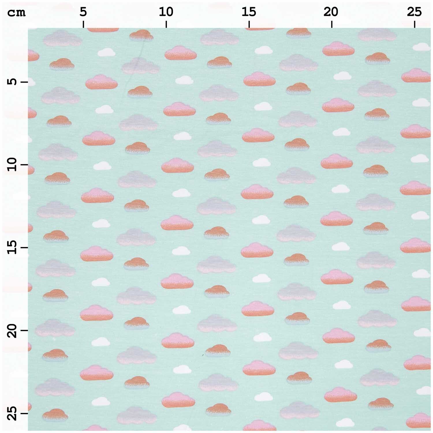 Jerseystoff Happy Baby Wolken mint 145cm von Rico Design