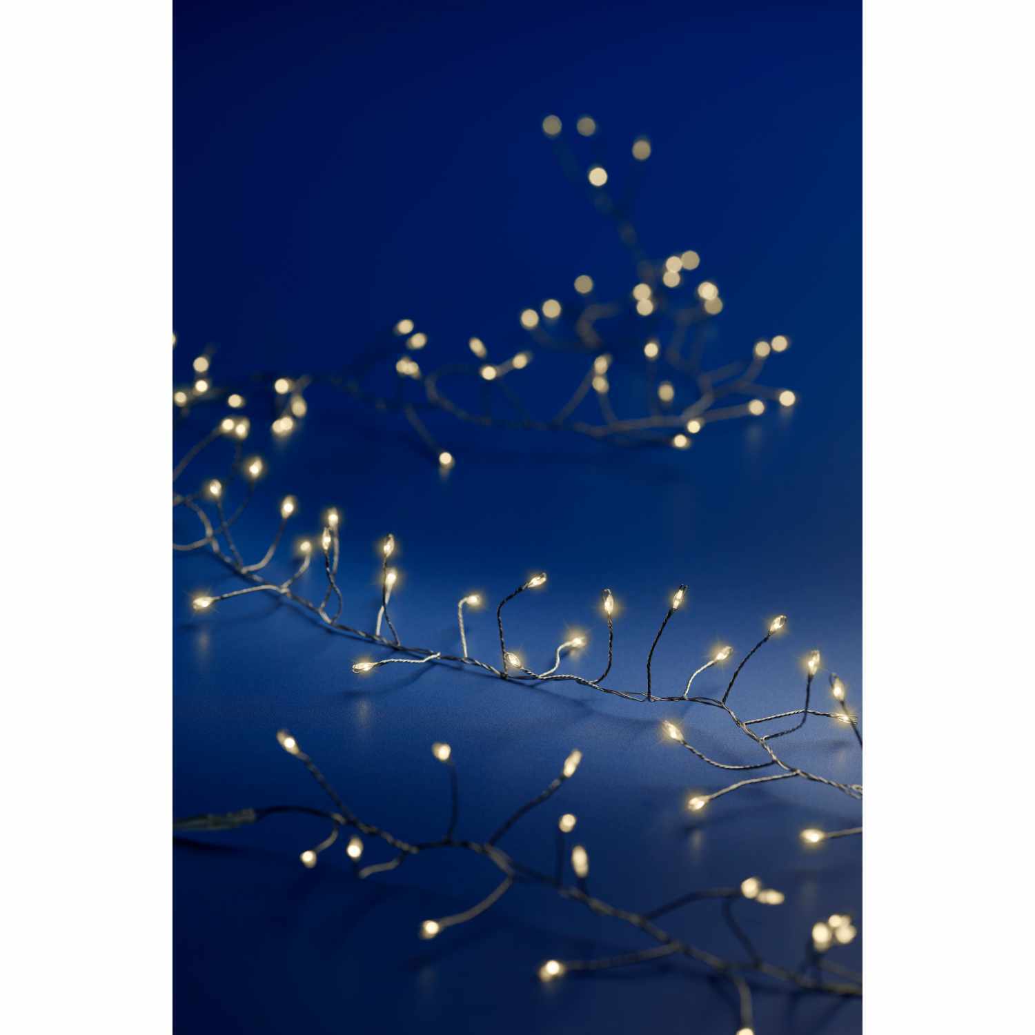 LED-Lichterkette 1,2m warmweiß von Kaemingk, leuchtend auf blauem Hintergrund, ideal für stimmungsvolle Dekorationen.