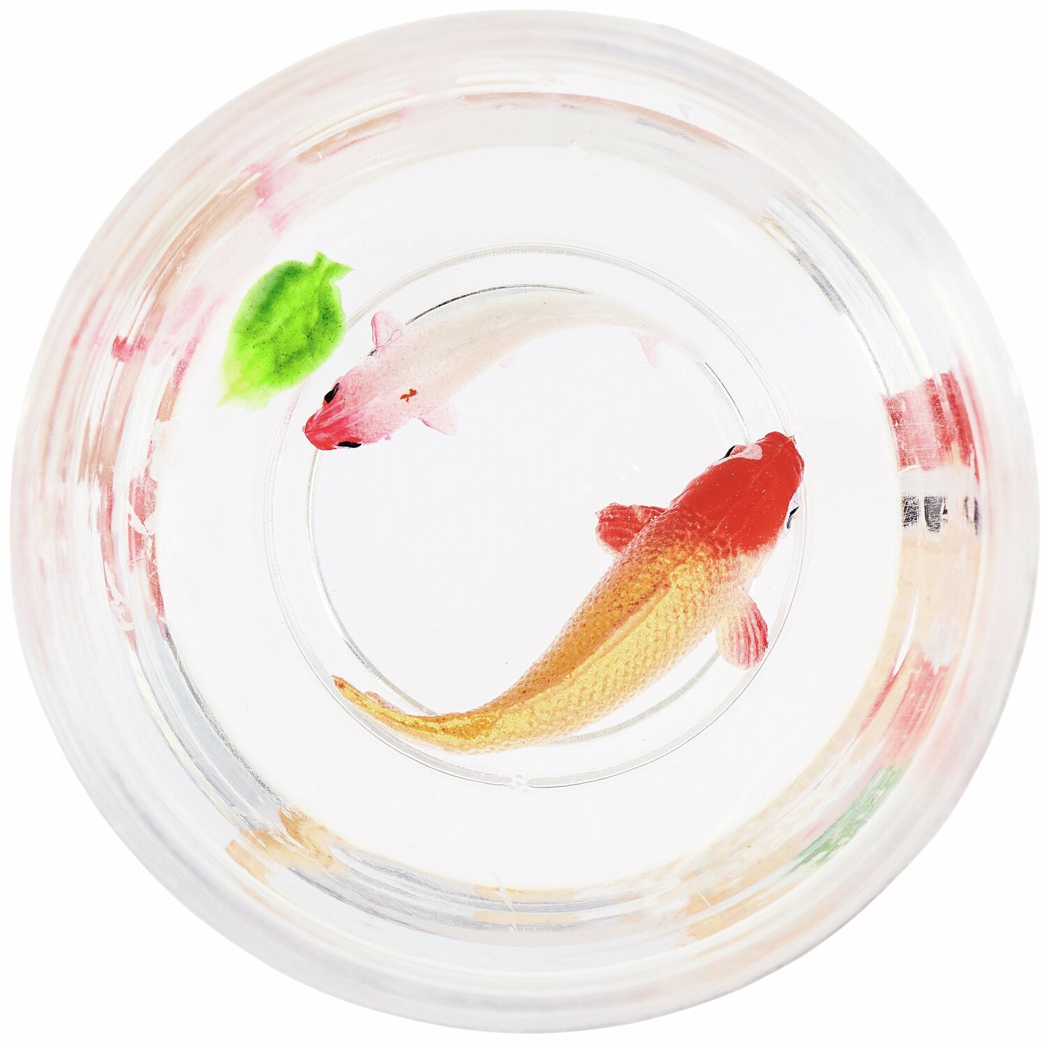 Miniatur Fischglas mit bunten Fischen und grünem Blatt, von oben betrachtet, in klarem Glas.