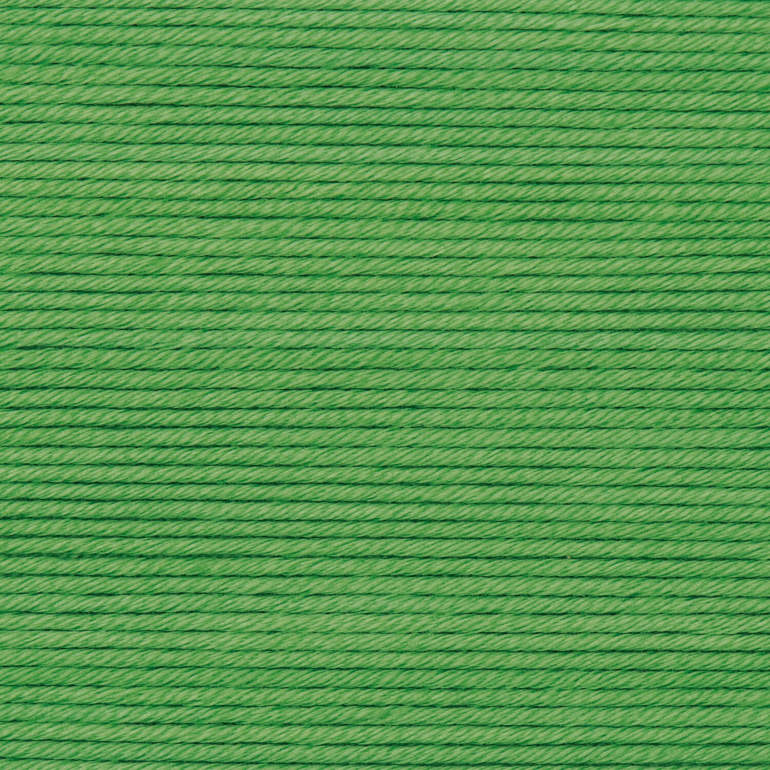 Wickelkarte des Garns Essentials Fine Fine Merino in der Farbe 66 Gras.