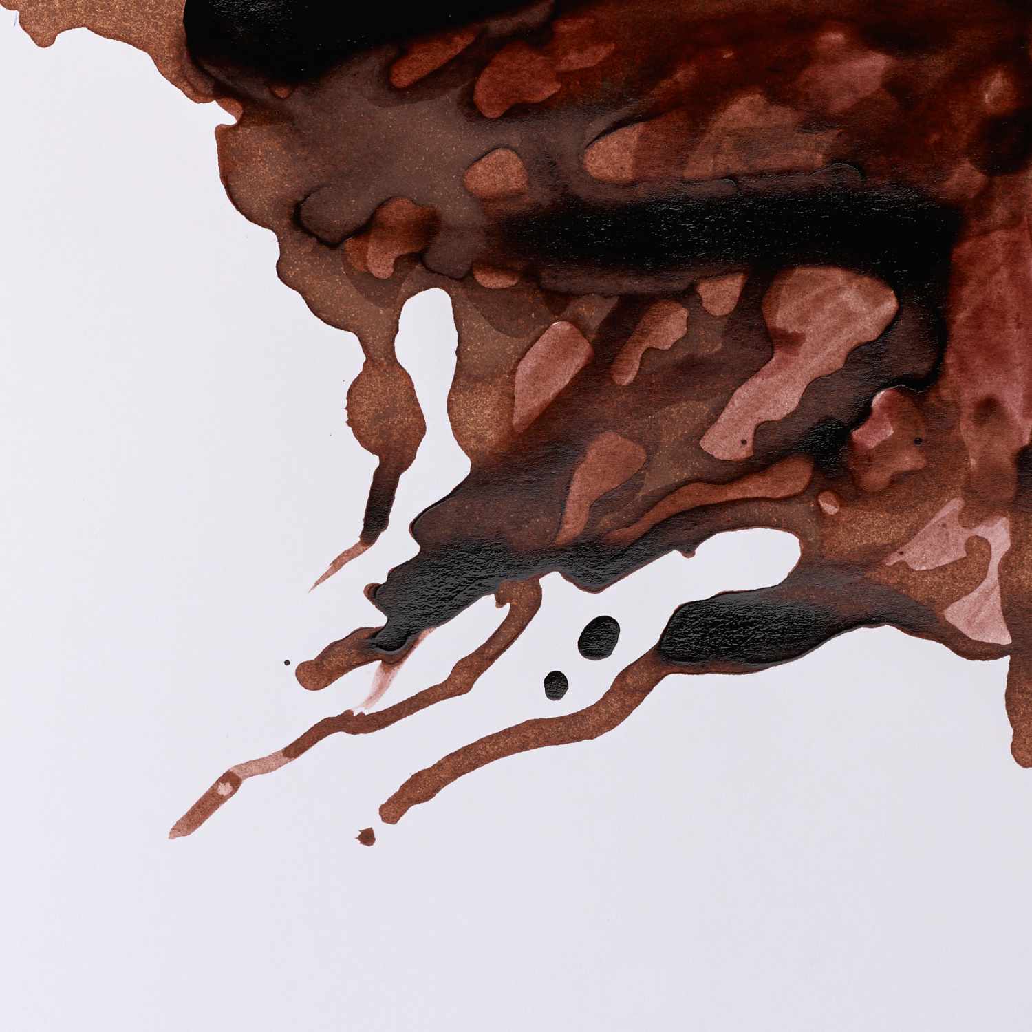 Zeichentusche 14ml Farbe Nußbraun von COLART EUROPE 