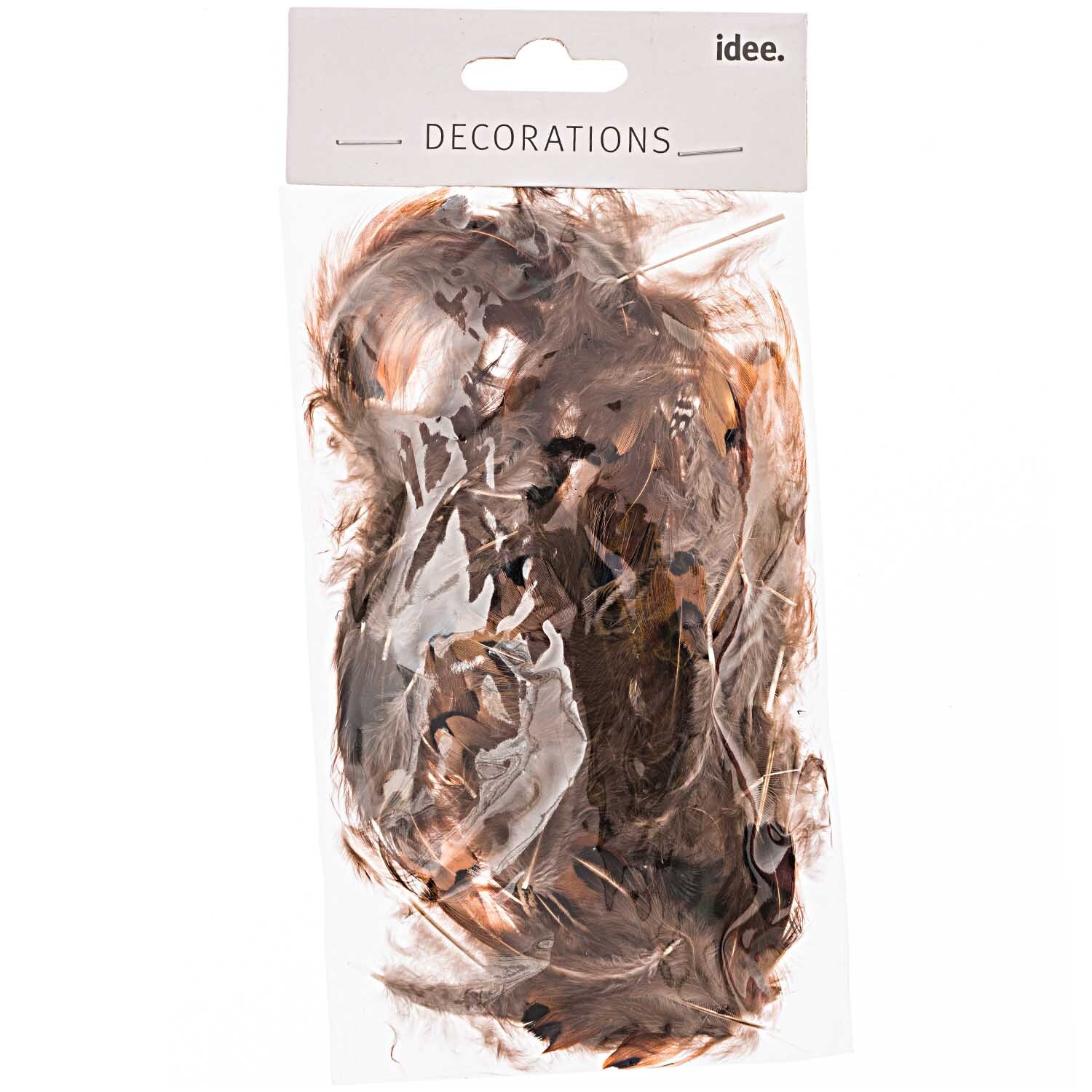 Fasanenfedern natur hell 3g von idee. Creativmarkt 