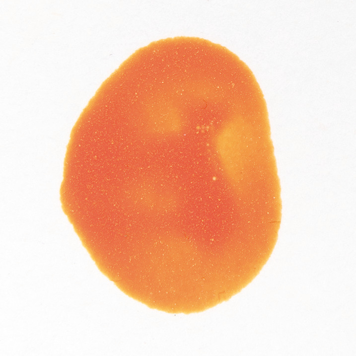 Fingerfarbe 100ml von Rico Design in leuchtendem Orange, ideal für kreative Malprojekte.