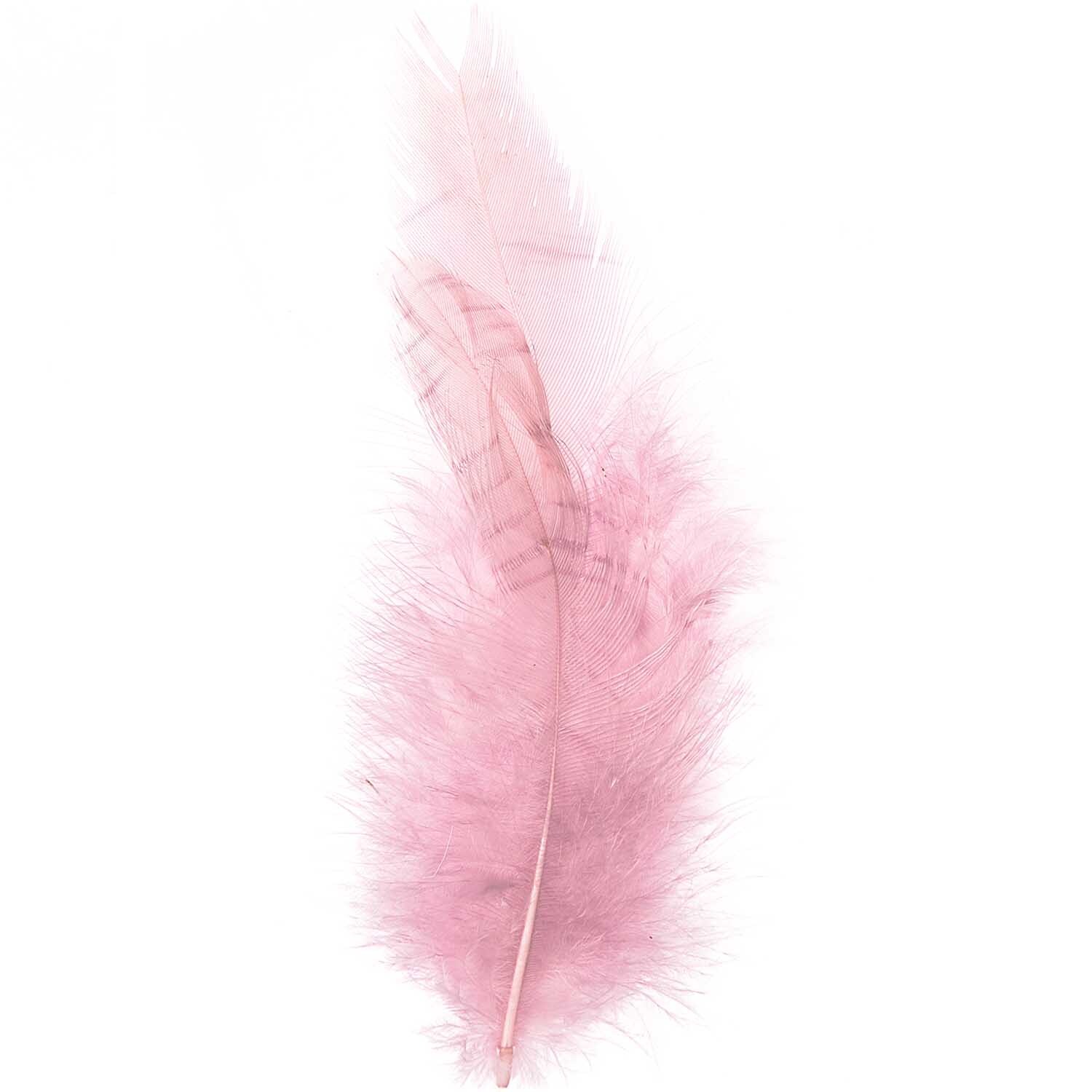 Hahnenfedern 5g in zartem Rosa von idee. Creativmarkt, ideal für kreative Bastelprojekte.