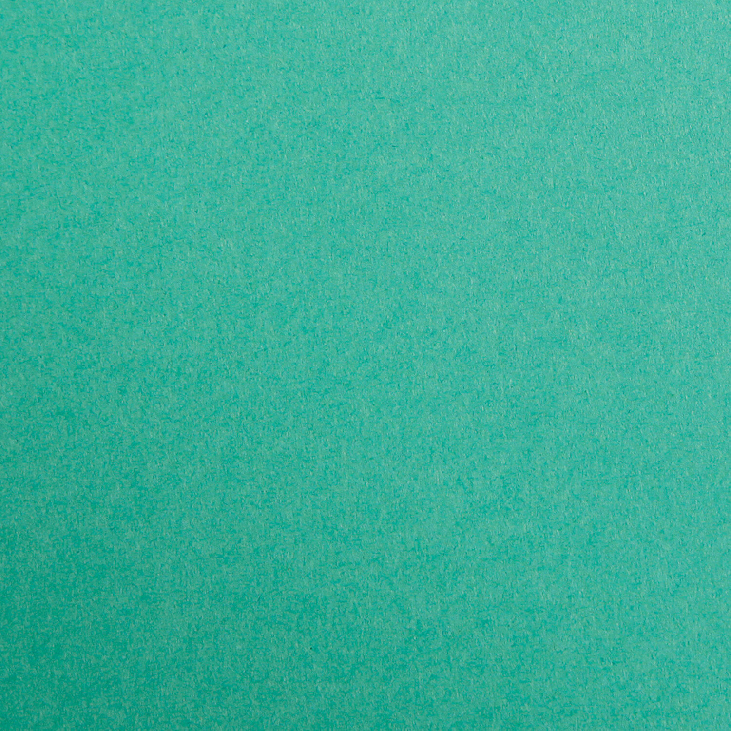 Fotokarton 50x70cm 25 Blatt in Tannengrün, Clairefontaine, 270g, ideal für kreative Projekte.